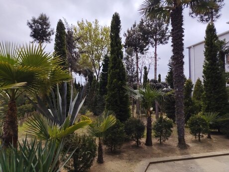 8 otaqlı həyət evi/bağ evi - Şüvəlan q. - 200 m²