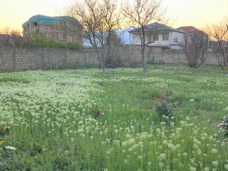 Torpaq - Saray q. - 10 sot