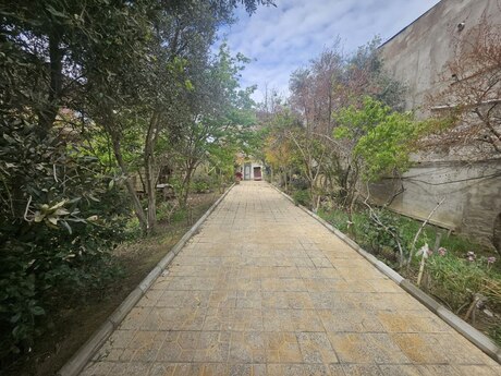 5 otaqlı həyət evi/bağ evi - Badamdar q. - 280 m²