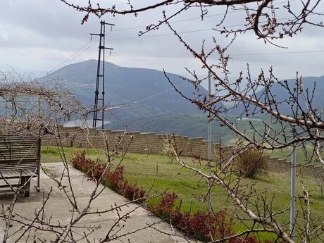 4 otaqlı həyət evi/bağ evi - Şamaxı - 175 m²