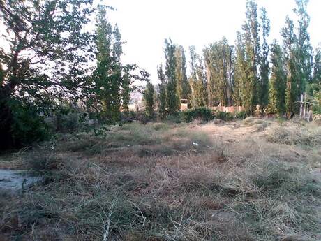 Torpaq - Xaçmaz - 6 sot