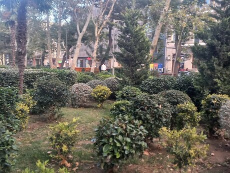 Obyekt - Sahil m. - 390 m²