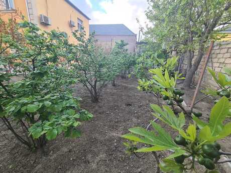 5 otaqlı həyət evi/bağ evi - Biləcəri q. - 220 m²