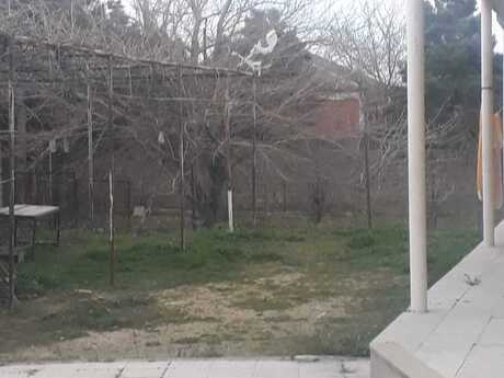 Torpaq - Digah q. - 4 sot