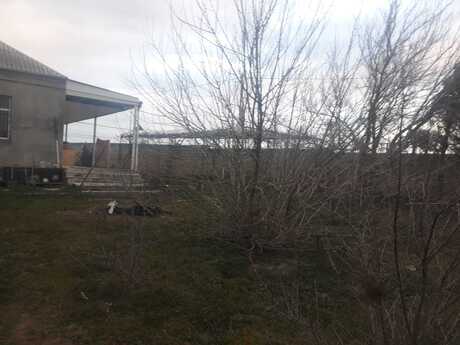 Torpaq - Digah q. - 4 sot
