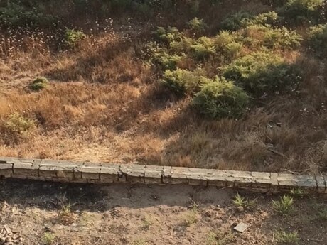 14 otaqlı həyət evi/bağ evi - Masazır q. - 600 m²