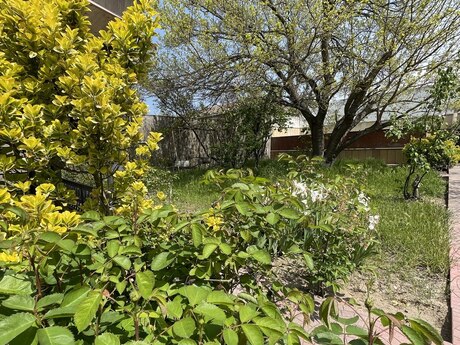 7 otaqlı həyət evi/bağ evi - Novxanı q. - 250 m²