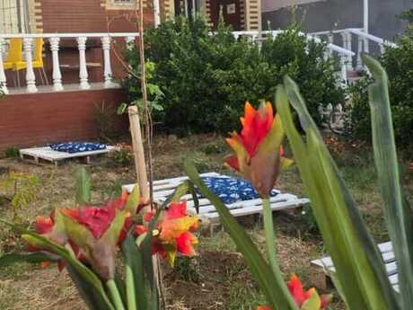 4 otaqlı həyət evi/bağ evi - Şüvəlan q. - 74 m²