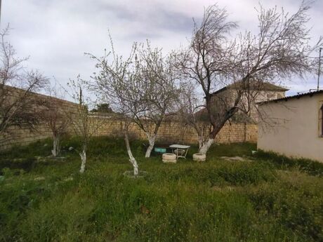 3 otaqlı həyət evi/bağ evi - Hövsan q. - 80 m²