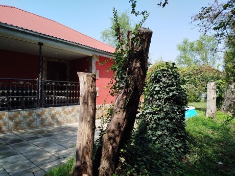 3 otaqlı həyət evi/bağ evi - Lənkəran - 120 m²