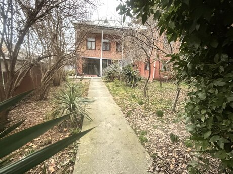 7 otaqlı həyət evi/bağ evi - Zaqatala - 230 m²