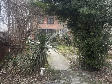 7 otaqlı həyət evi/bağ evi - Zaqatala - 230 m²