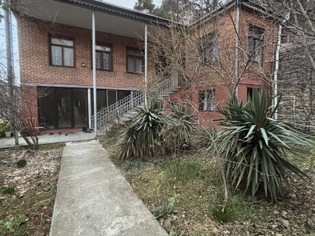 7 otaqlı həyət evi/bağ evi - Zaqatala - 230 m²