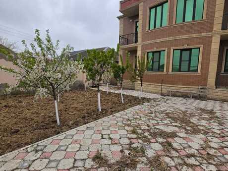7 otaqlı həyət evi/bağ evi - Buzovna q. - 280 m²