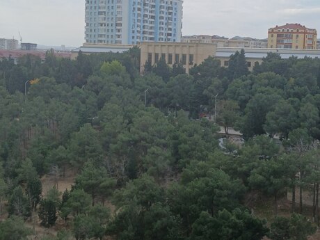 4 otaqlı yeni tikili - Sumqayıt - 108 m²