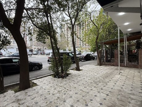 Obyekt - Elmlər Akademiyası m. - 101 m²
