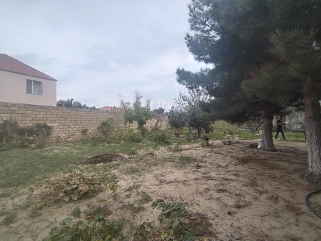 Torpaq - Pirşağı q. - 12 sot