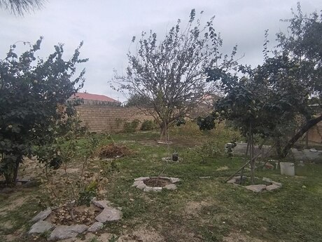 Torpaq - Pirşağı q. - 12 sot