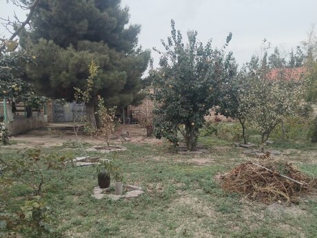 Torpaq - Pirşağı q. - 12 sot