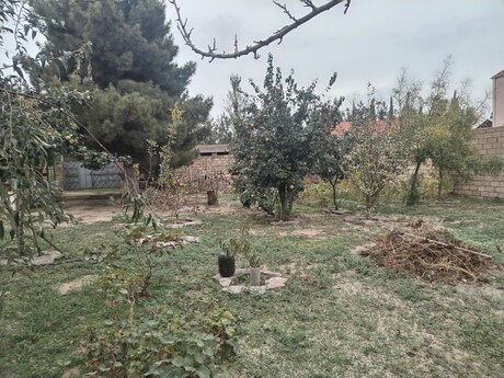 Torpaq - Pirşağı q. - 12 sot