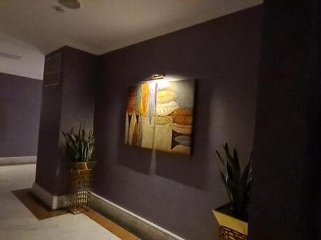 Аренда: 5-комнатная квартира, 246 м², Sahil: 6 500 ₼/мес 5