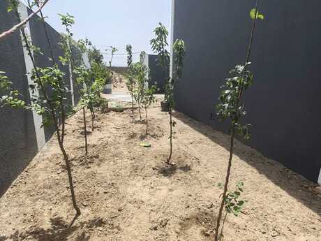 3 otaqlı həyət evi/bağ evi - Binə q. - 85 m²