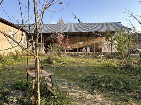 5 otaqlı həyət evi/bağ evi - Qəbələ - 110 m²