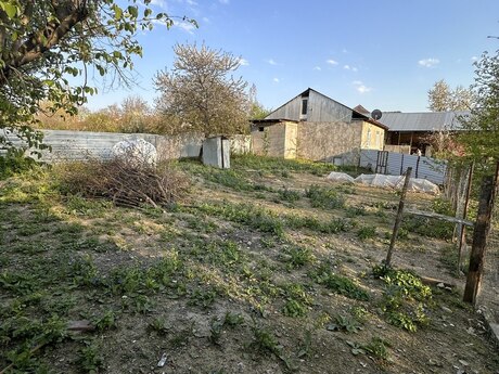 5 otaqlı həyət evi/bağ evi - Qəbələ - 110 m²