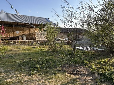 5 otaqlı həyət evi/bağ evi - Qəbələ - 110 m²