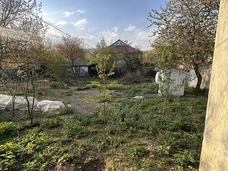 5 otaqlı həyət evi/bağ evi - Qəbələ - 110 m²
