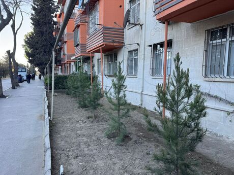Объявление №6078143 - Баку, м. Нефтчиляр, 3-комн., 75 м², 1/5 этаж