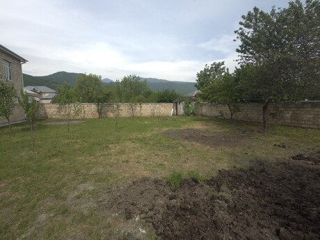 8 otaqlı həyət evi/bağ evi - Balakən - 250 m²