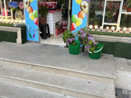Obyekt - Şah İsmayıl Xətai m. - 15 m²