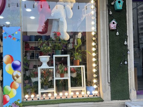 Obyekt - Şah İsmayıl Xətai m. - 15 m²