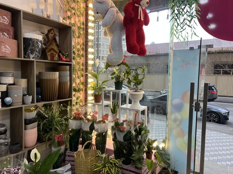 Obyekt - Şah İsmayıl Xətai m. - 15 m²