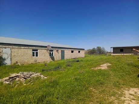 Obyekt - Hacıqabul - 1000 m²