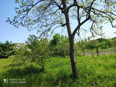 5 otaqlı həyət evi/bağ evi - Xaçmaz - 100 m²