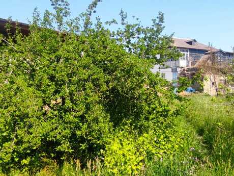 5 otaqlı həyət evi/bağ evi - Xaçmaz - 100 m²