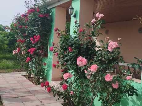 6 otaqlı həyət evi/bağ evi - Sumqayıt - 115 m²