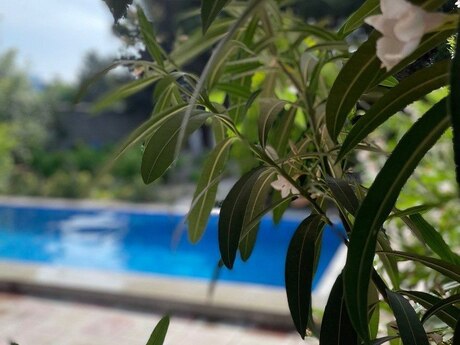 3 otaqlı həyət evi/bağ evi - Nardaran q. - 950 m²