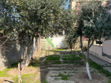 3 otaqlı həyət evi/bağ evi - Buzovna q. - 100 m²