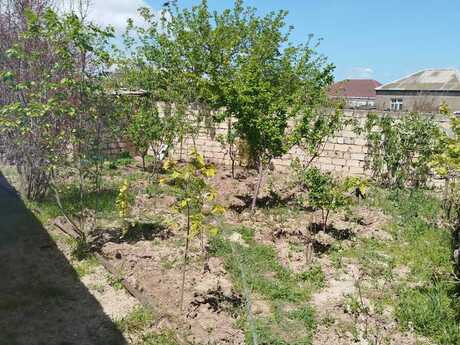 3 otaqlı həyət evi/bağ evi - Sumqayıt - 70 m²