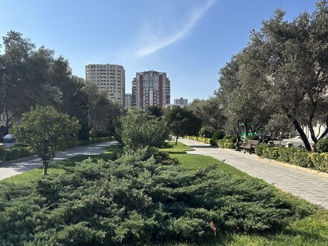 Obyekt - Şah İsmayıl Xətai m. - 100 m²