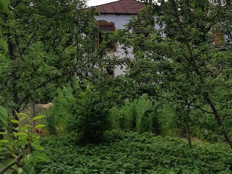4 otaqlı həyət evi/bağ evi - Qusar - 100 m²