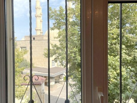 7 otaqlı həyət evi/bağ evi - Nəsimi m. - 650 m²