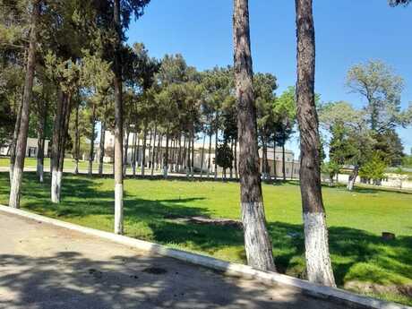 Obyekt - Salyan - 29634 m²