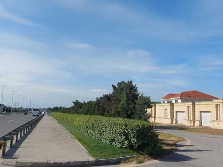 Elan №6079769 - Bakı, Binəqədi r., 41 sot