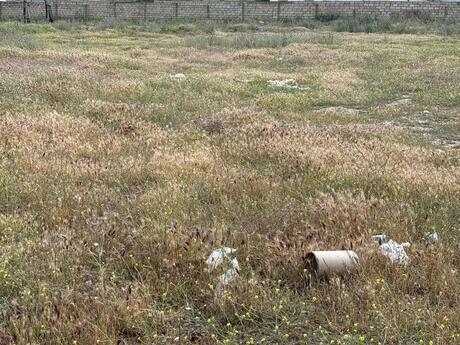 Объявление №6080086 - Баку, пос. Мамедли, 22 сот