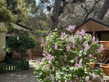 4 otaqlı həyət evi/bağ evi - Bakıxanov q. - 150 m²