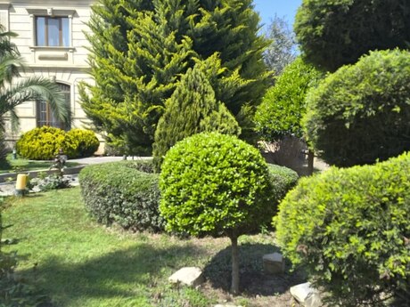 6 otaqlı həyət evi/bağ evi - Novxanı q. - 400 m²